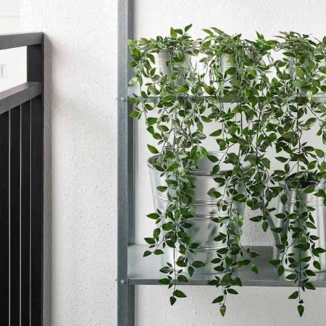 Turn a corner of your room into a Plantito paradise!